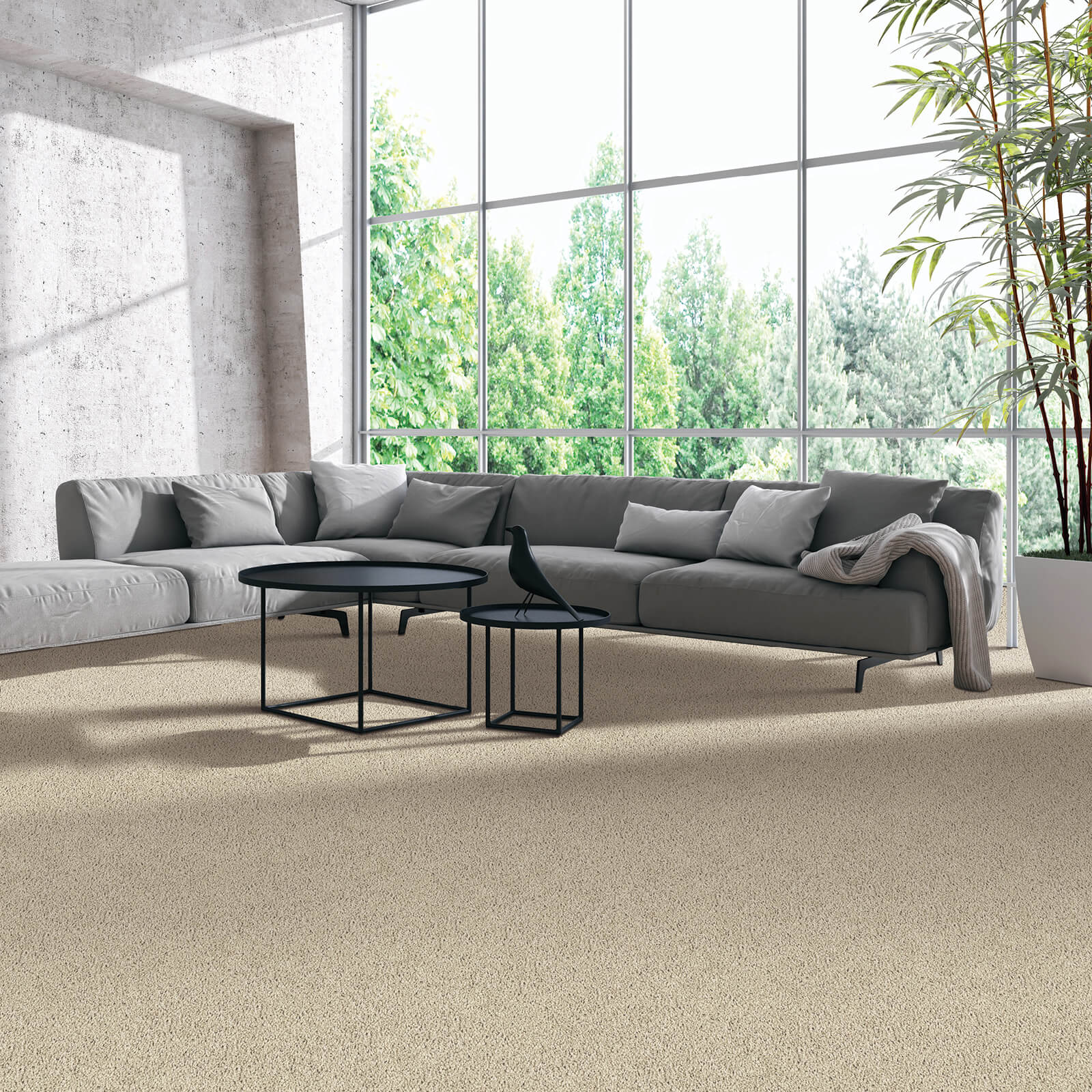 Grey Carpet flooring | Gilman Floors