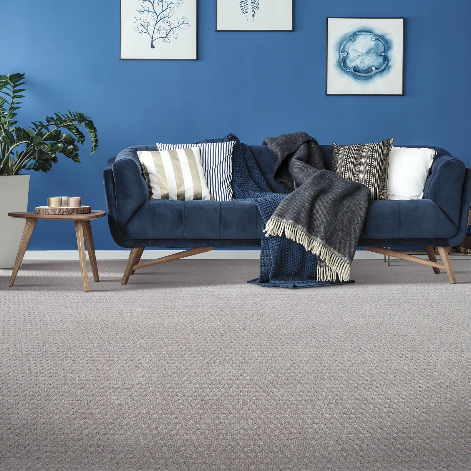 Carpet flooring | Gilman Floors