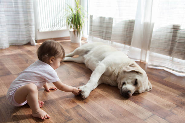 Baby with dog | Gilman Floors
